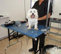Doggy Day Spa image 3