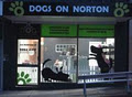 Dogs on Norton logo