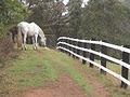 Electric Fence Australia image 3