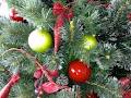 Elfhelp Christmas Trees image 4