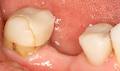 Epping Dental Care image 3