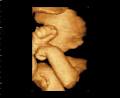 Gladstone Xray & Ultrasound image 1