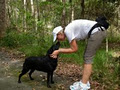Good Doggy Dog Walking and Pet Sitting image 1