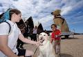 Guide Dogs NSW/ACT image 5