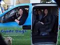 Guide Dogs Queensland image 6