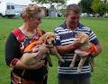 Guide Dogs Queensland image 1