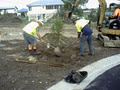 Gympie & District Landcare Group image 3