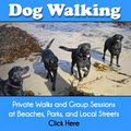 Heads & Tails Dog Walking Services image 1