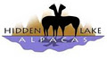 Hidden Lake Alpacas image 3