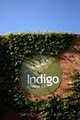 Indigo Cheese Co image 3