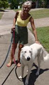 Jackie's Dog Walking Service image 1