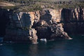 Jervis Bay Whale and Dolphin Eco Adventures image 2