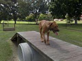 Karma K9 Dog Training Specialist Gold Coast image 5