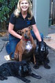 Kerry Ramsden Dog Training and Behaviour image 2