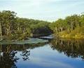 Lake Parramatta Reserve image 2
