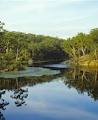 Lake Parramatta Reserve image 4