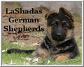 Lashadas German Shepherds logo