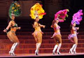 Latin Dance Australia image 3