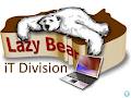 Lazy Bear iT Division Web Design & iT Solutions image 6