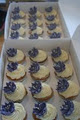 Luscious Cupcakes image 5