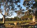 Macquarie Park Cemetery and Crematorium image 2