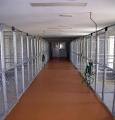 Midcoast Boarding Kennels & Cattery image 6