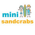 Mini Sandcrabs image 5