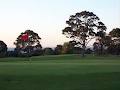 Mornington Golf Club image 4
