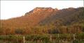 Mount Broke Wines image 2