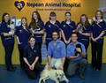 Nepean Animal Hospital logo