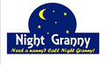 Night Granny image 2