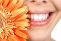 Nollamara Dental Care image 2