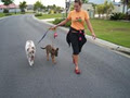 Oh My Dog Training image 2
