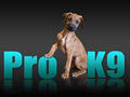 PRO-K9 Dog Training and Behaviour logo
