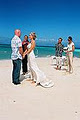 Palm Cove Weddings image 2