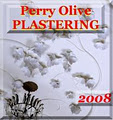 Perry Olive. Plastering. image 2