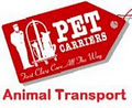 Pet Carriers International image 3