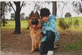 Pet Pals Dog Training, Puppy & Dog School, Dog Walking - Kingston image 2
