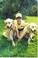 Pet Pals Dog Training, Puppy & Dog School, Dog Walking - Kingston logo