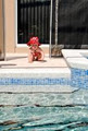 Pool Safety Inspection & Certification image 2