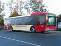 Red Bus Coach Service logo