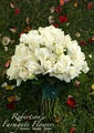 Robertson's Farmgate Flowers & Produce image 2