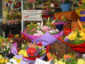 Spring Hill Florist image 1