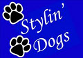 Stylin' Dogs logo