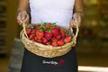 Sunny Ridge Strawberry Farm logo