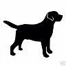 Sunshine Coast Dog Obedience Club Inc. image 1