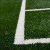Synthetic Grass, Turf image 1