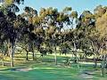 Tanunda Pines Golf Club image 2