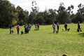 Tasmanian Dog Training Club image 2