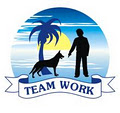 Teamwork Puppy School image 2